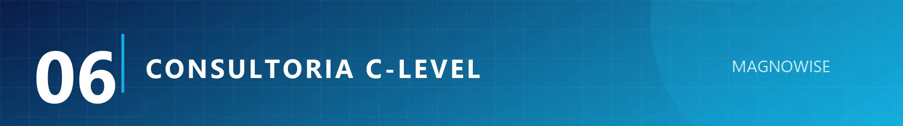 Consultoría tecnológica C-Level